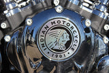 2014 Indian Motorcycle embelem